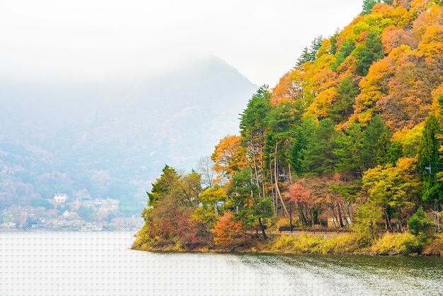 如何轻松下载法文版搜狗输入法？本地安装包获取与快速部署指南 一